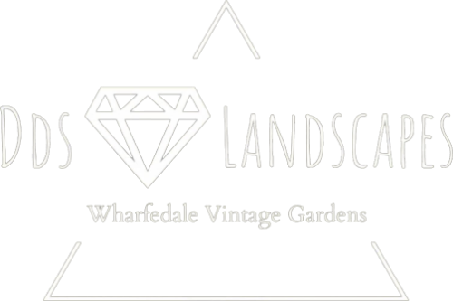 DDS Landscapes